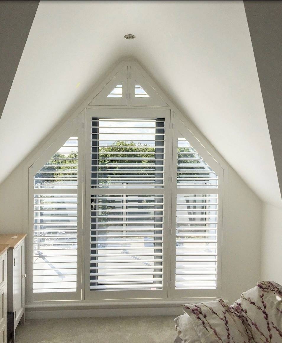 ABS Coated Paulownia